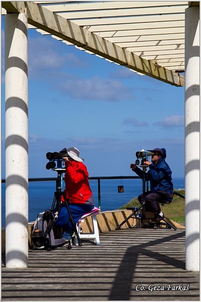 16_relva.jpg - Whale watchers near Relva, Sao Miguel, Azores