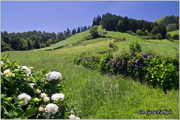 04_furnas.jpg - Furunas, Mesto - Location: Ponta Delgada, Sao Miguel, Azores