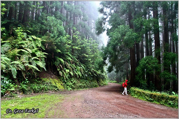 30_nordeste.jpg - Nordeste, Mesto - Location:  Sao Miguel, Azores