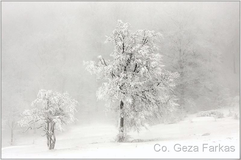 27_povlen.jpg - Povlen mountain, Published in BEAUTIFUL FORESTS OF SERBIA book