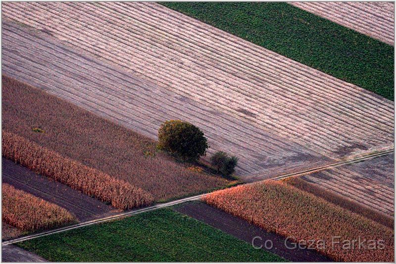 32_field.jpg - Field, Vojvodina province,  2nd prize picture story DIGITAL PHOTOGRAPHY contest Novi Sad 2008