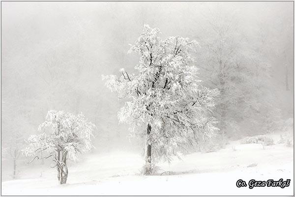 01_povlen.jpg - Povlen mountain, Serbia