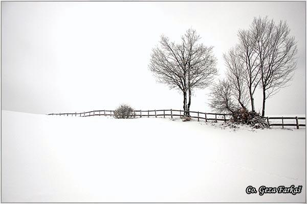 02_povlen.jpg - Povlen mountain, Serbia