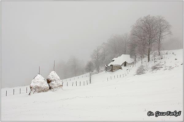 03_povlen.jpg - Povlen mountain, Serbia