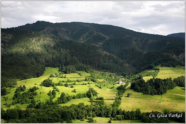 06_tara.jpg - Tara mountain, Serbia