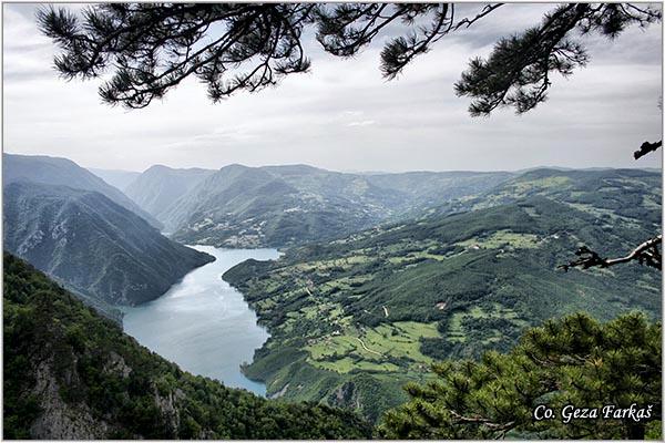 07_tara.jpg - Tara mountain, Serbia