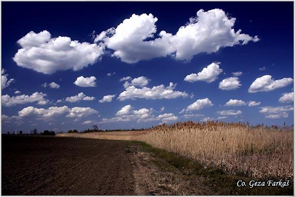 20_jegricka.jpg - Jegricka river Serbia - Vojvodina province