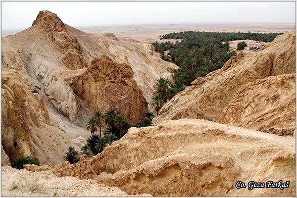 28_chebika_oasis.jpg - Chebika oasis, Tunisia