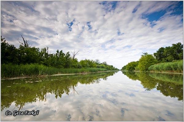 30_carska_bara.jpg - Carska bara, Vojvodina, Sebia