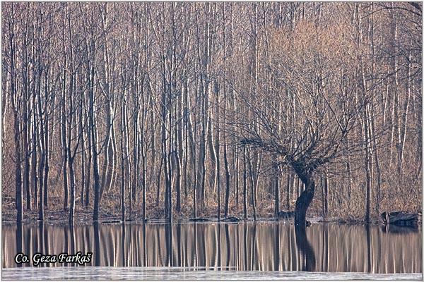 33_koviljski_rit.jpg - Danube river, Koviljski rit  Serbia - Vojvodina province