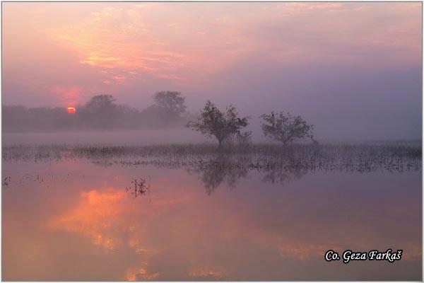 35_koviljski_rit.jpg - Danube river, Koviljski rit  Serbia - Vojvodina province