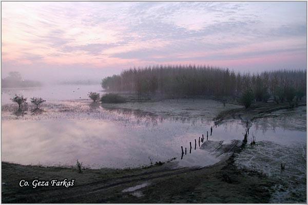 36_koviljski_rit.jpg - Danube river, Koviljski rit  Serbia - Vojvodina province