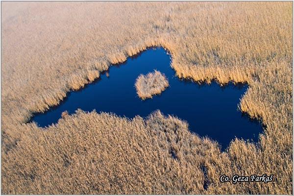 90_slano_kopovo_bog.jpg - Slano kopovo bog, Serbia - Vojvodina province