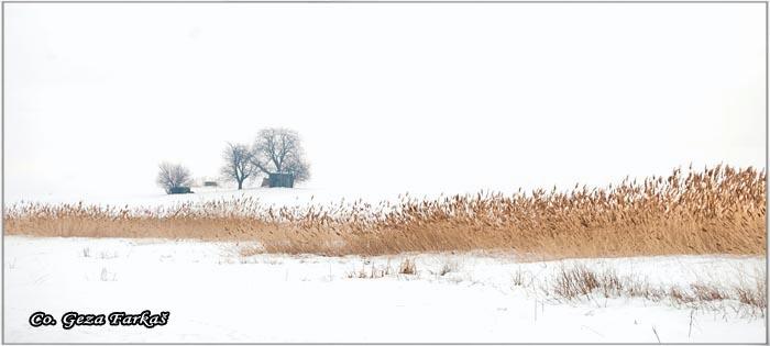 94_slano_kopovo_bog.jpg - Slano kopovo bog, Serbia - Vojvodina province