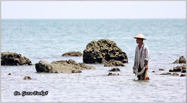 20_fisherman.jpg - Fisherman, Location: Tailand, Koh Phangan